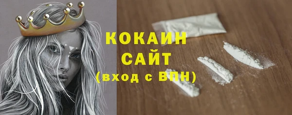 PSILOCYBIN Аркадак