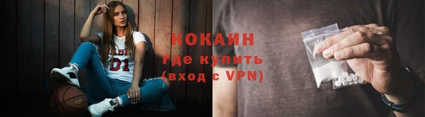 PSILOCYBIN Аркадак