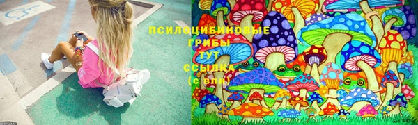 а пвп мука Армянск