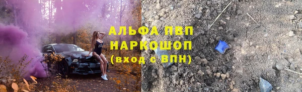 PSILOCYBIN Аркадак