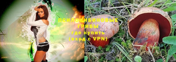 PSILOCYBIN Аркадак
