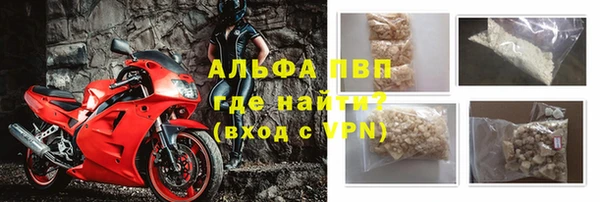PSILOCYBIN Аркадак